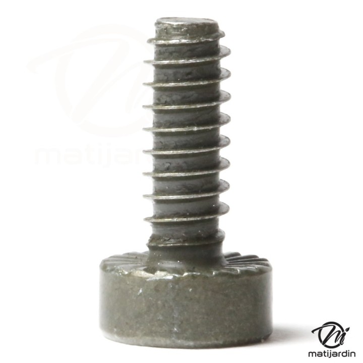 Vis de Griffe pour tronçoneuse Stihl MS310