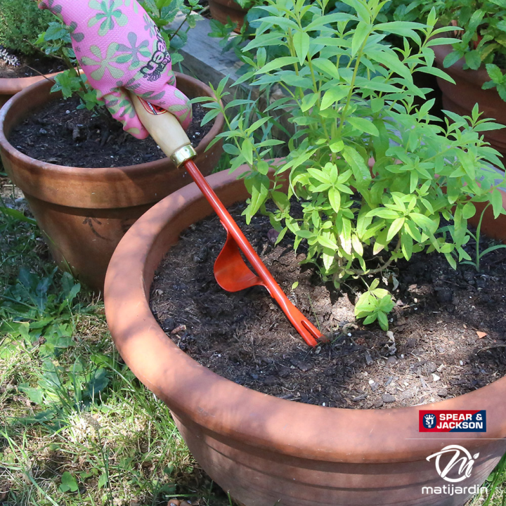 Tire racine avec manche bois. Forges de Lavieu