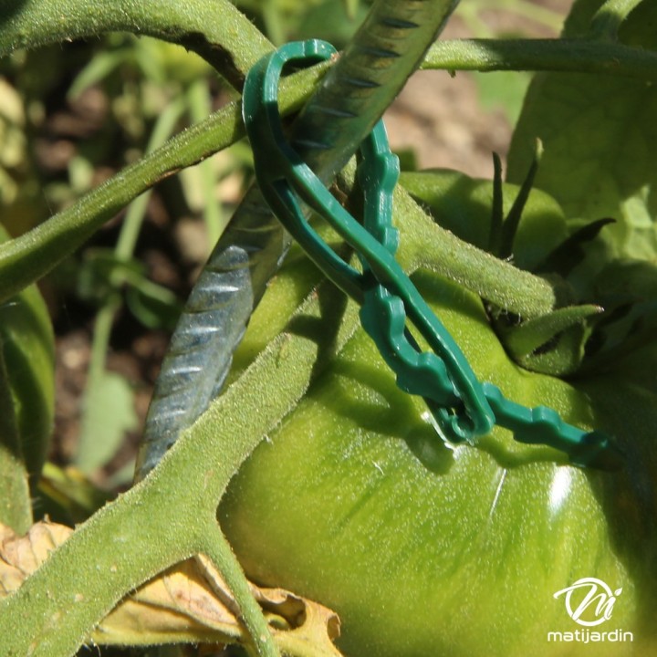 Attache tuteur universel 115 mm par 50. Spear & Jackson