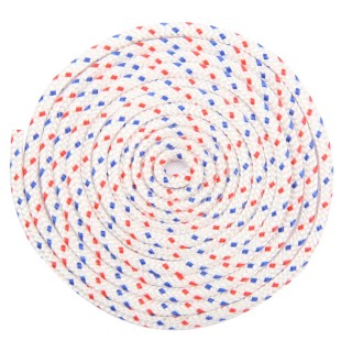 Corde de lanceur nylon Ø 3 mm x 2 m pour Stihl MS171 MS181 MS211