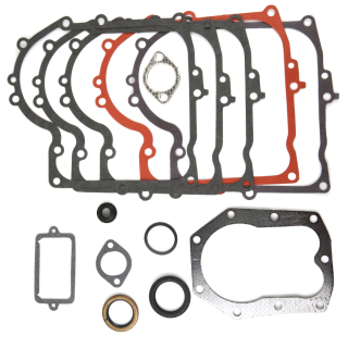 Kit de joints pour moteur Briggs & Stratton. N° origine 494241