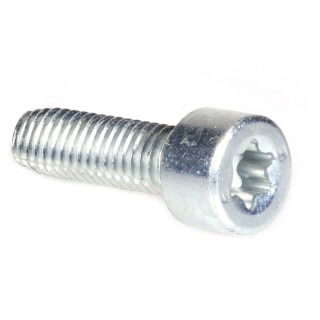 Vis Torx 27 M6 x 20 pour tronçonneuse Stihl MS310