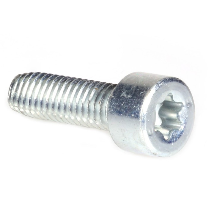Vis Torx 27 M6 x 20 pour tronçonneuse Stihl 070 090 Contra