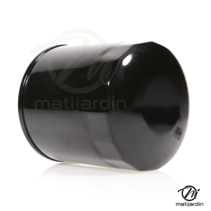 Filtre à huile pour moteur Kohler, John Deere et Briggs & Stratton