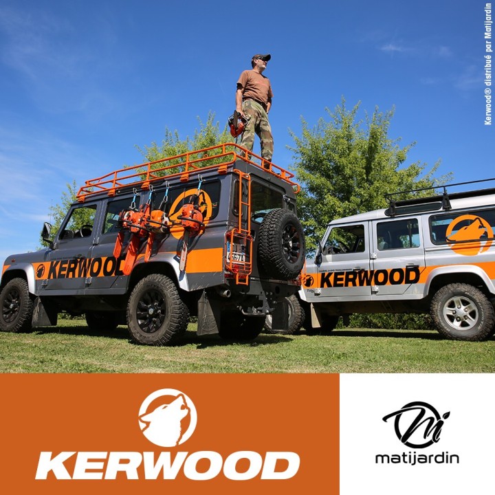 Chaine Kerwood pour STIHL MS170 3/8"LP 1,1 mm 50 maillons