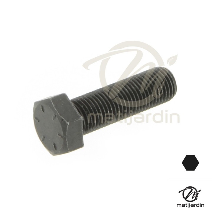 Vis de lame Pour AYP, Noma, Stiga. Ø 9,5 mm.