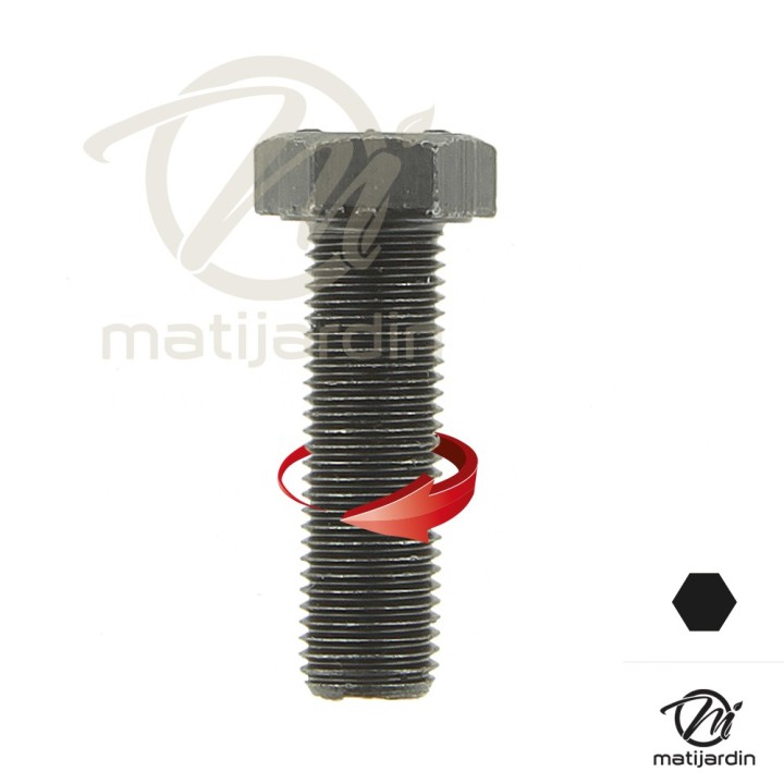 Vis de lame Pour AYP, Noma, Stiga. Ø 9,5 mm.