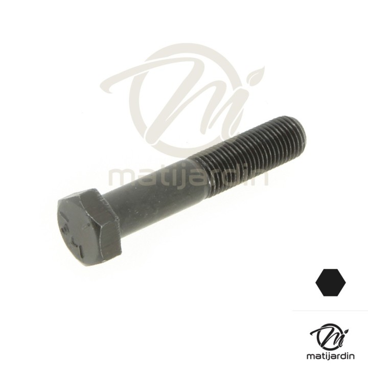 Vis de lame pour Castelgarden, Honda, Snapper, Stiga. Ø 9,5 mm