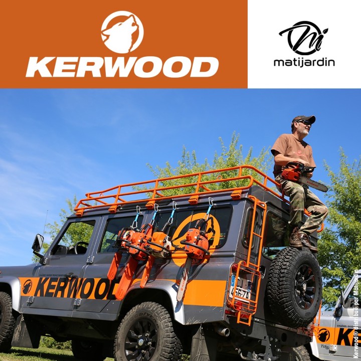 Chaine Kerwood pour DOLMAR ES-36 3/8"LP 1,1 mm 52 maillons