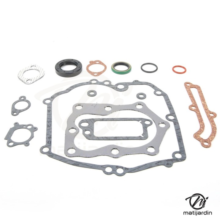 Joint pour Briggs & Stratton Quantum 12 CID