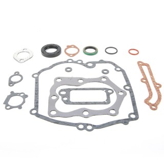 Joint pour Briggs & Stratton Quantum 12 CID