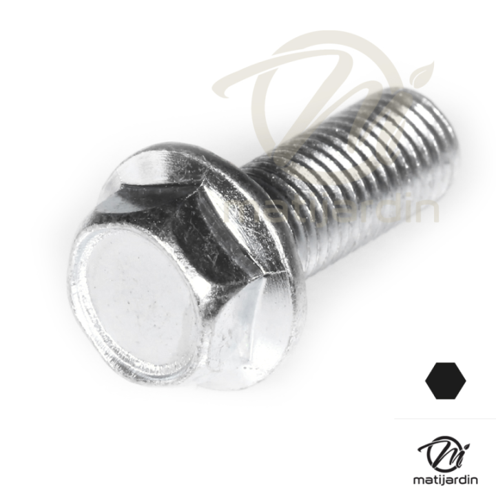 Vis de lame pour Honda. Ø 10 x 25 mm
