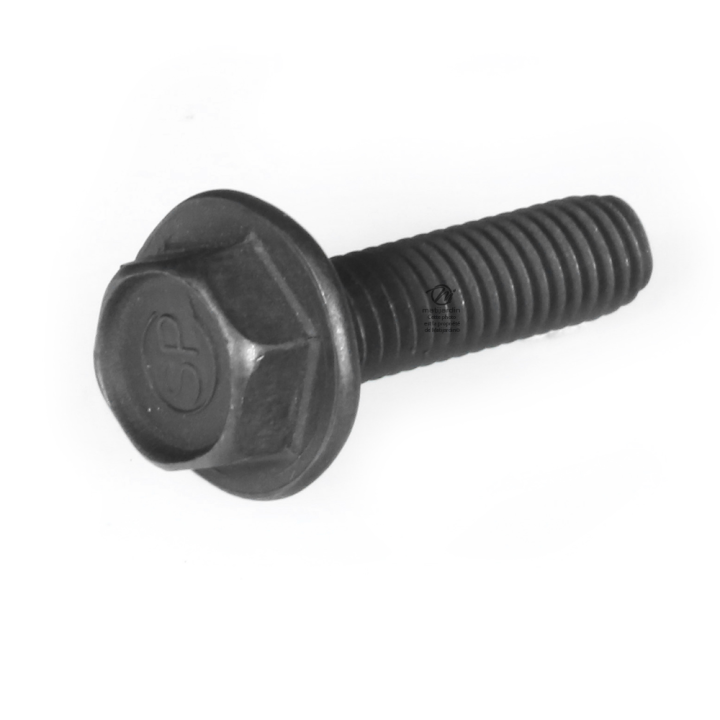 Vis autotaraudeuse pour AYP. x 10. Ø 7,9 mm