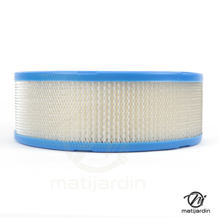 Filtre à air pour moteur Kohler 4708303