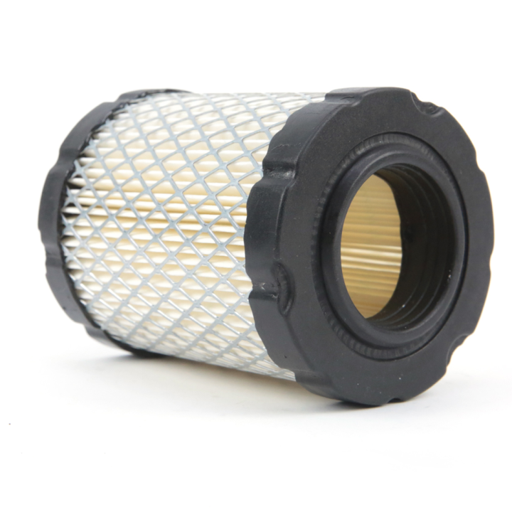 Filtre à air moteur Briggs et Stratton n° 796032