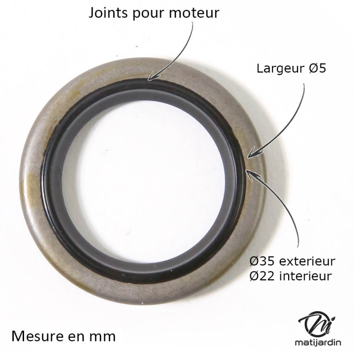 Joint spi 299819 pour moteur Briggs et Stratton