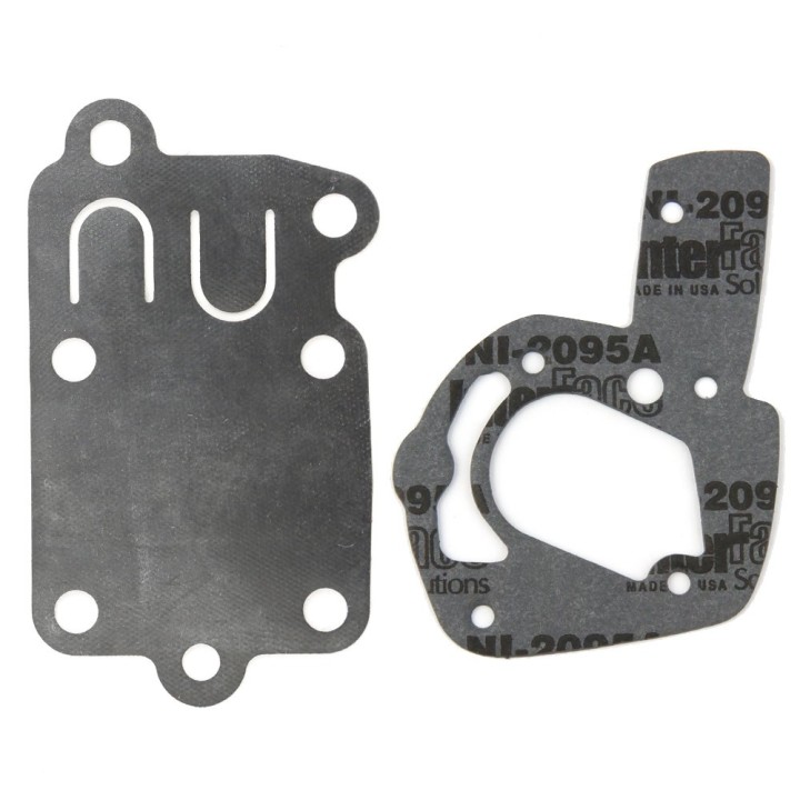 Joint + membrane pour moteur Briggs & Stratton