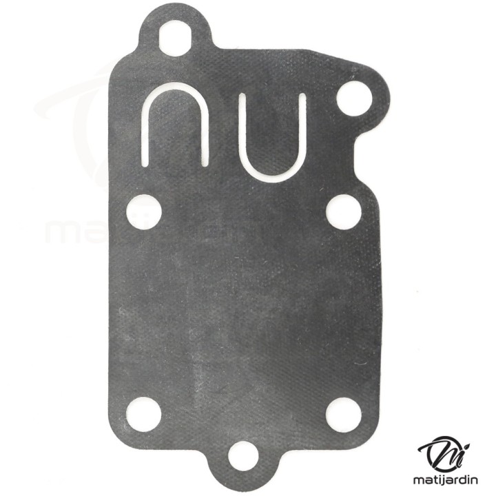 Joint + membrane pour moteur Briggs & Stratton