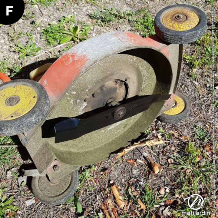 Lame tondeuse pour Wolf 171046 coupe 46 cm