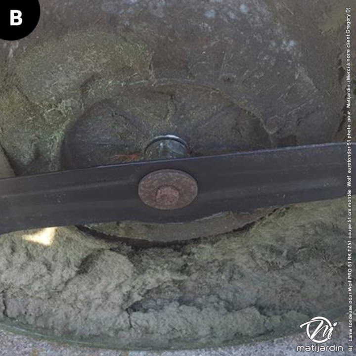 Lame tondeuse pour Wolf PRO 51 RK. N° TZ51. Coupe 51 cm