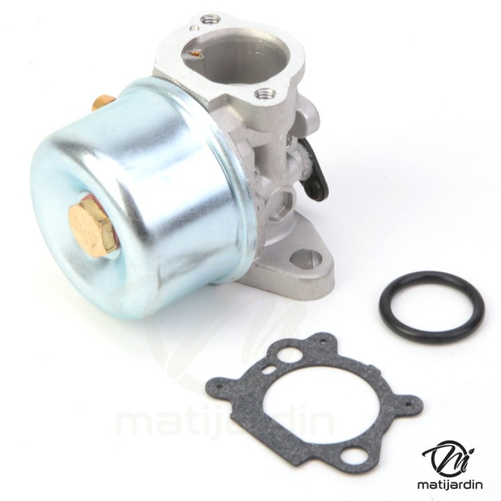 Carburateur pour moteur Briggs & Stratton 799866