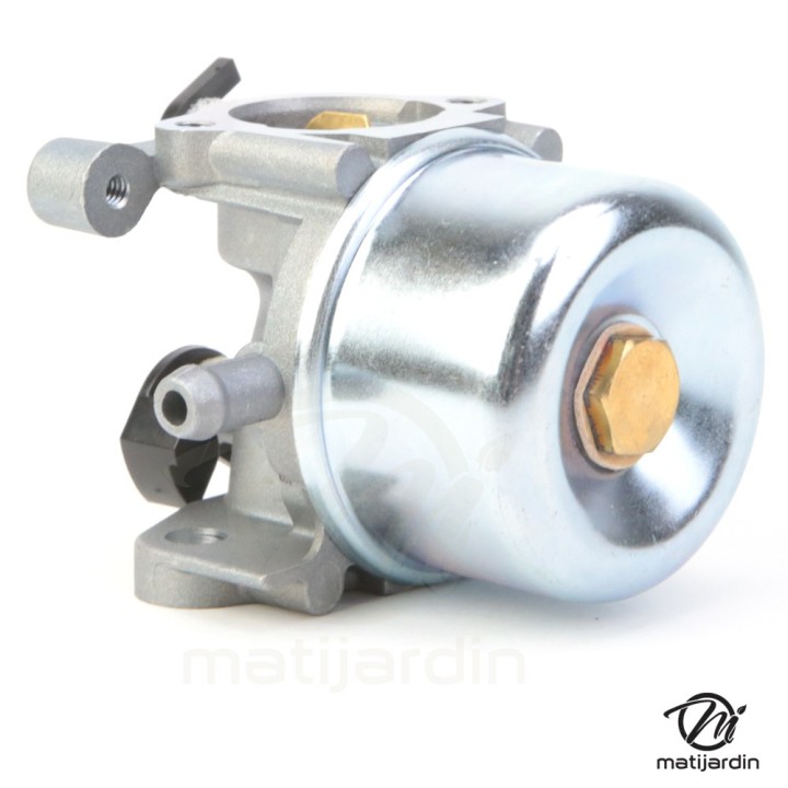 Carburateur pour moteur Briggs & Stratton 799866