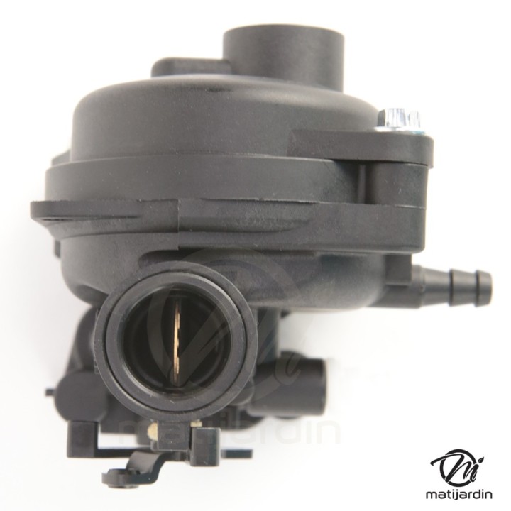 Carburateur pour moteur Briggs & Stratton 799583