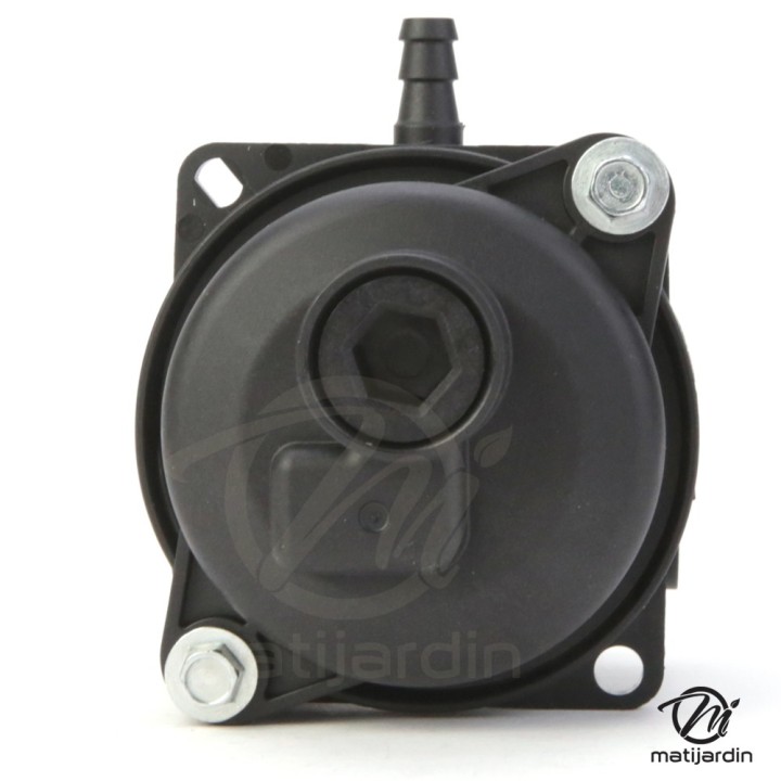Carburateur pour moteur Briggs & Stratton 799583