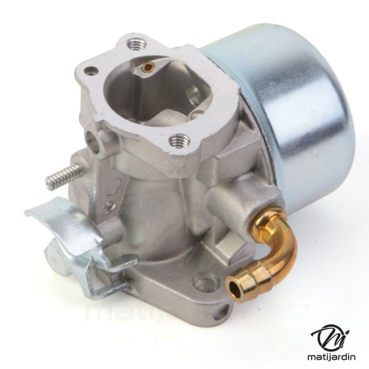 Carburateur pour moteur Briggs & Stratton 798653