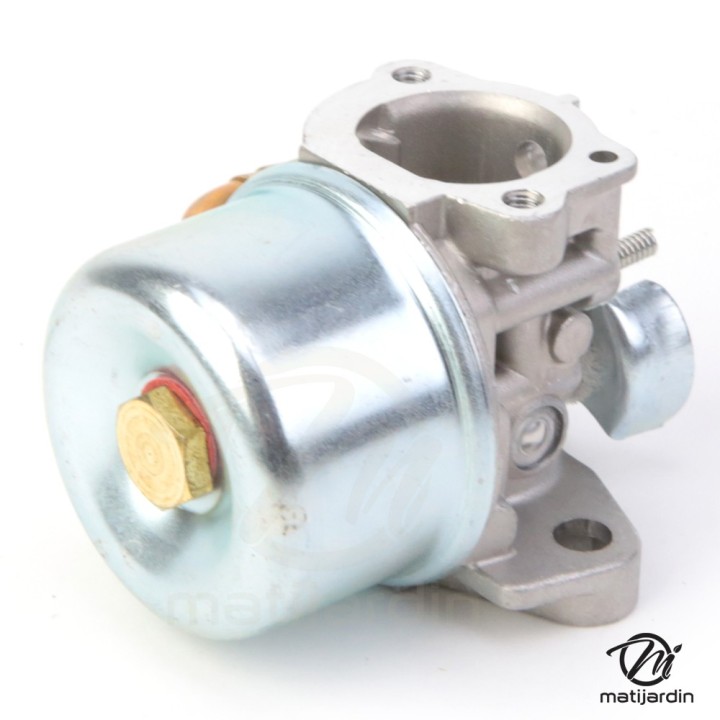 Carburateur pour moteur Briggs & Stratton 798653