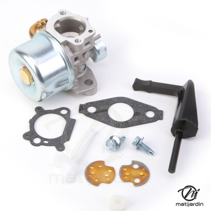 Carburateur pour moteur Briggs & Stratton 798653