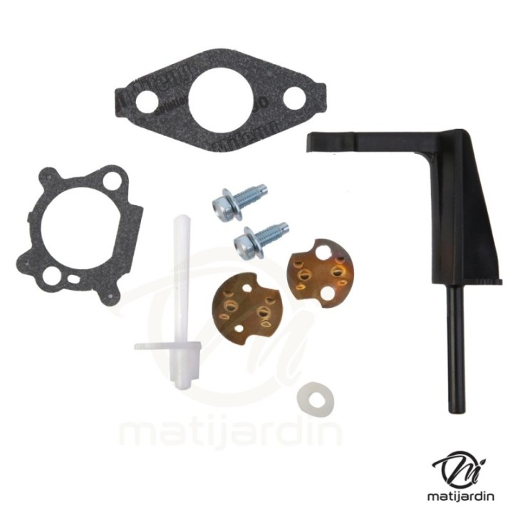 Carburateur pour moteur Briggs & Stratton 798653
