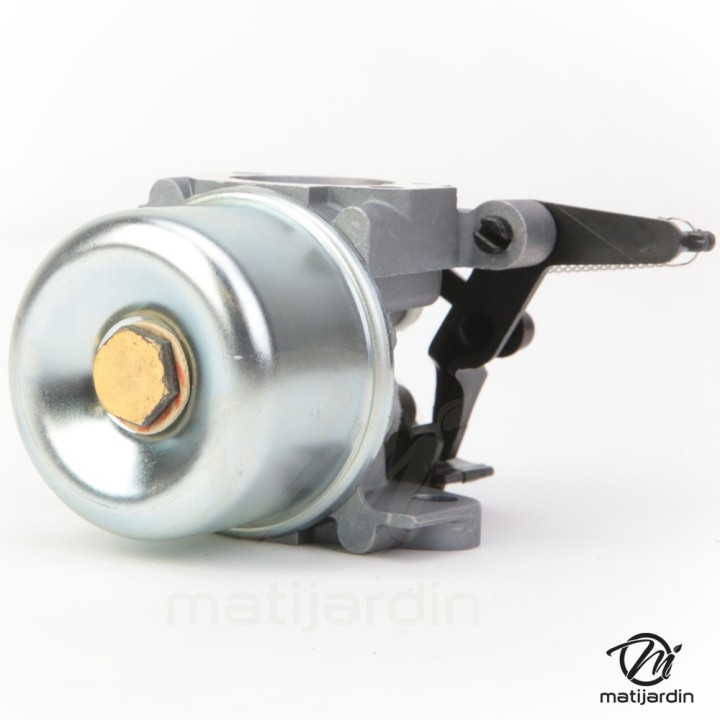 Carburateur pour moteur Briggs & Stratton 796608