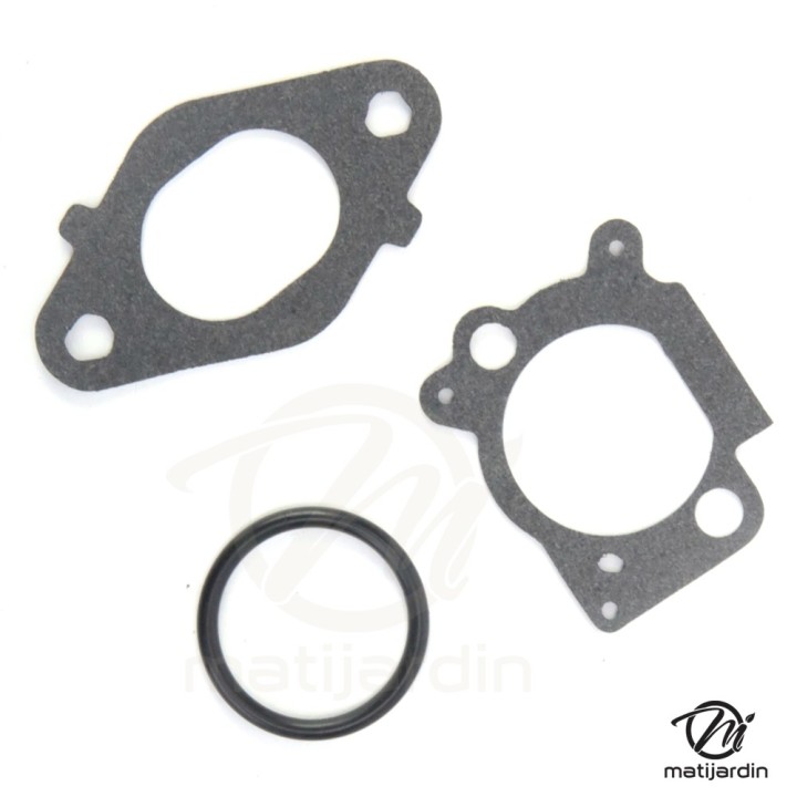 Carburateur pour moteur Briggs & Stratton 796608
