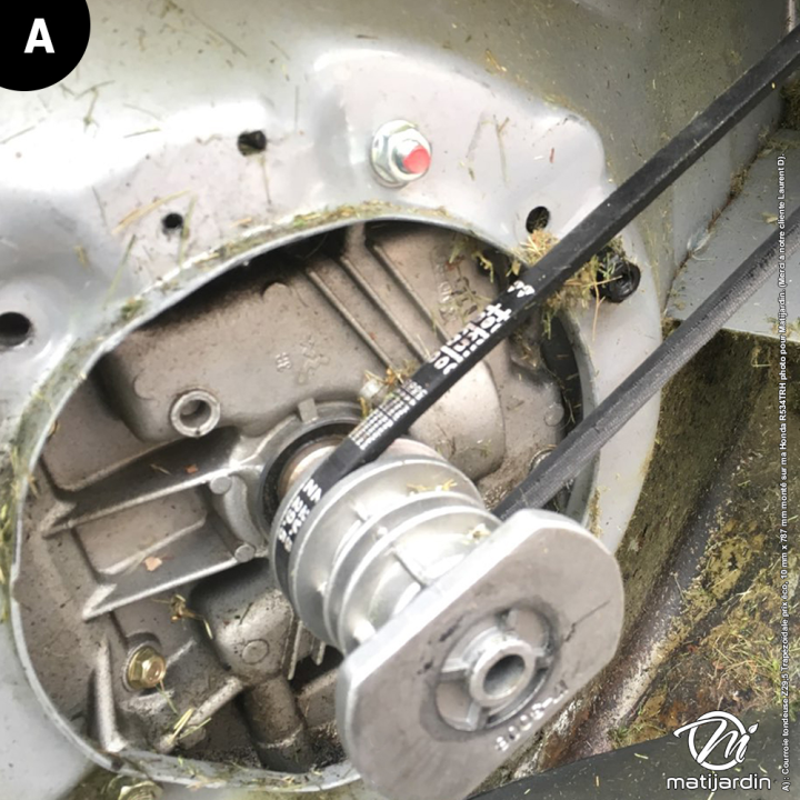 Courroie tondeuse Z29,5 Trapézoïdale prix éco, 10 mm x 787 mm