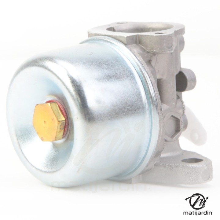 Carburateur pour moteur Briggs & Stratton 790120
