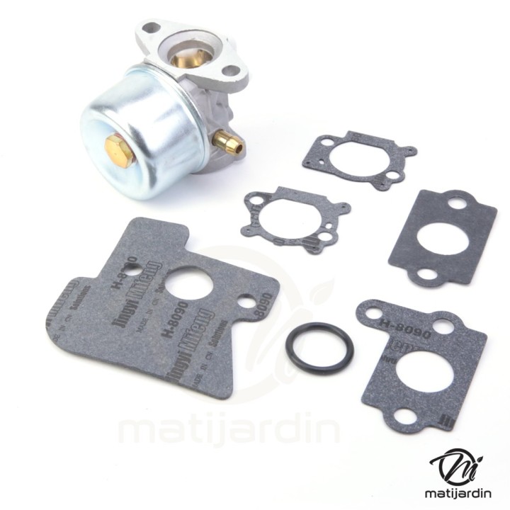 Carburateur pour moteur Briggs & Stratton 790120