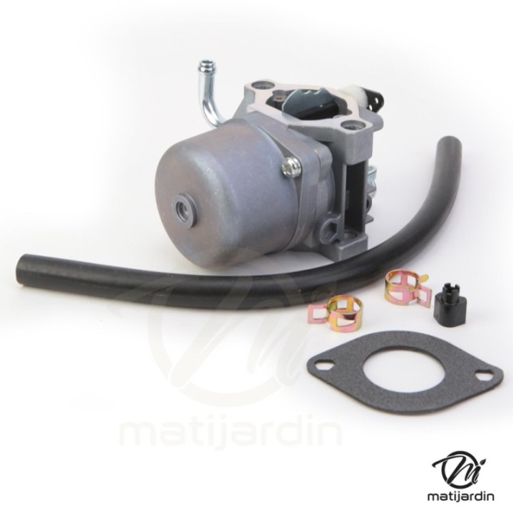 Carburateur pour moteur Briggs & Stratton 590399