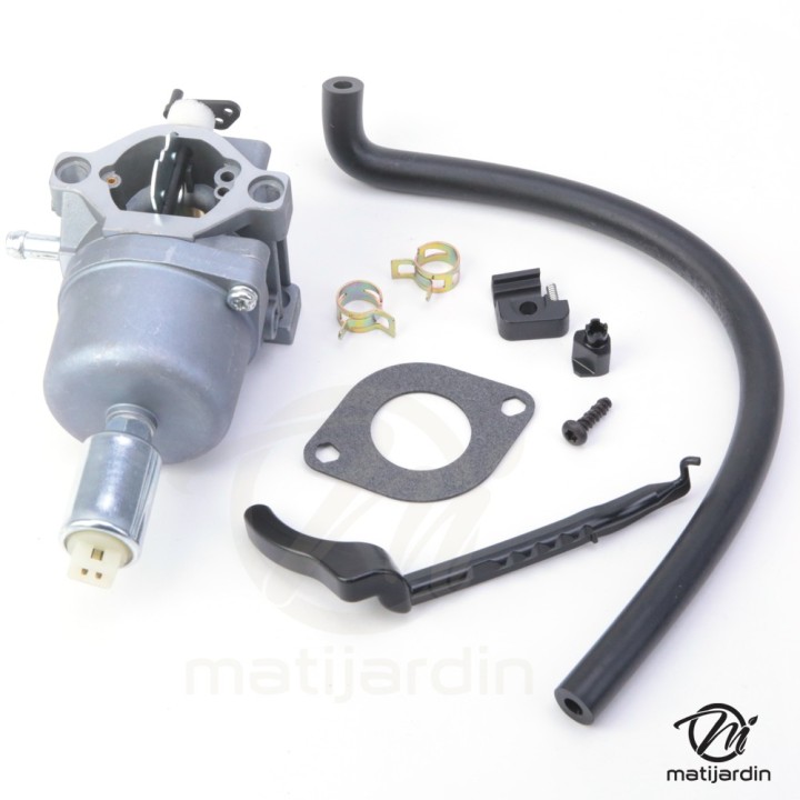 Carburateur pour moteur Briggs & Stratton 794572