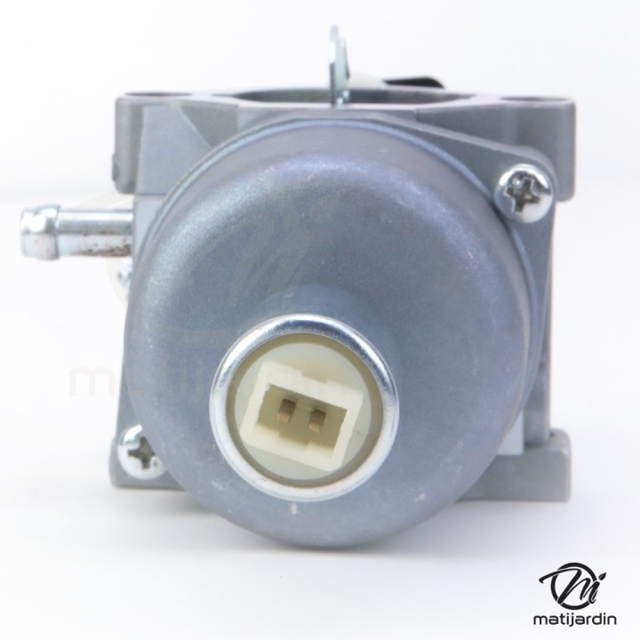 Carburateur pour moteur Briggs & Stratton 794572