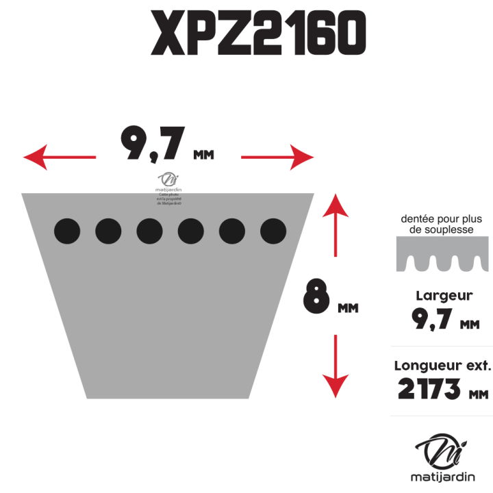 Courroie tondeuse XPZ2160 Trapézoïdale crantée - 9,7 mm x 2173 mm