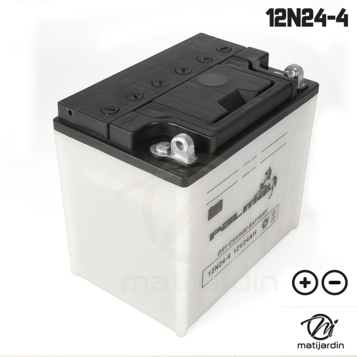 Batterie tondeuse Premium Palma 12N24-4. Vendue sèche