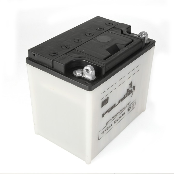 Batterie tondeuse Premium Palma 12N24-4. Vendue sèche