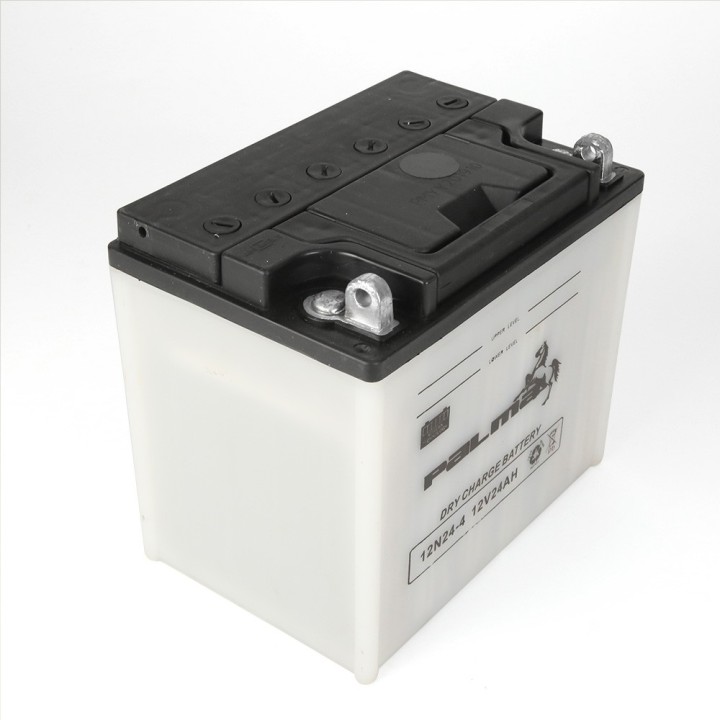 Batterie tondeuse Premium Palma 12N24-3. Vendue sèche