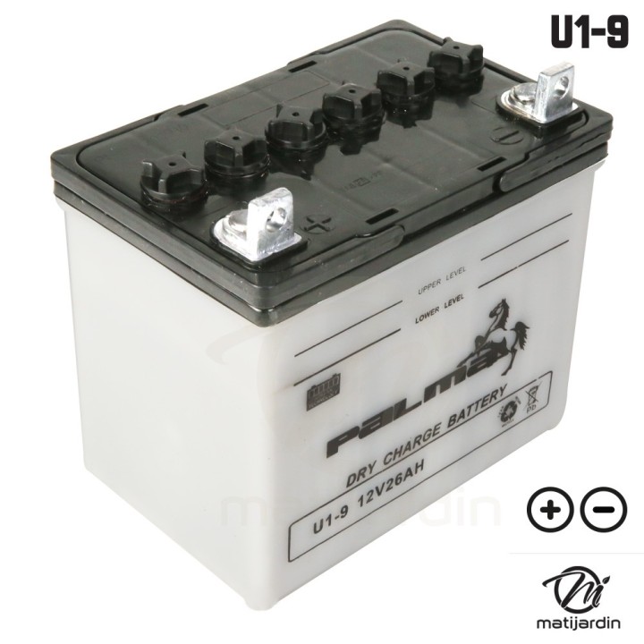 Batterie tondeuse Premium Palma U1-9. Vendue sèche