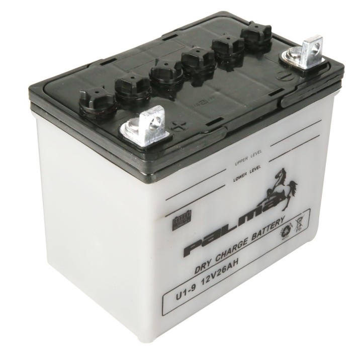 Batterie tondeuse Premium Palma U1-9. Vendue sèche