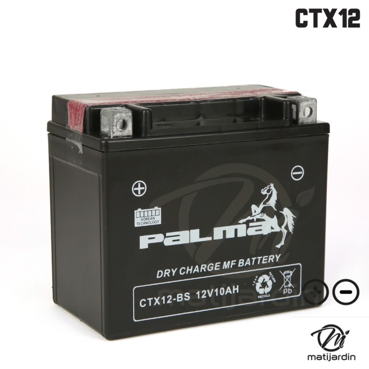 Batterie tondeuse Premium Palma CTX12-BS