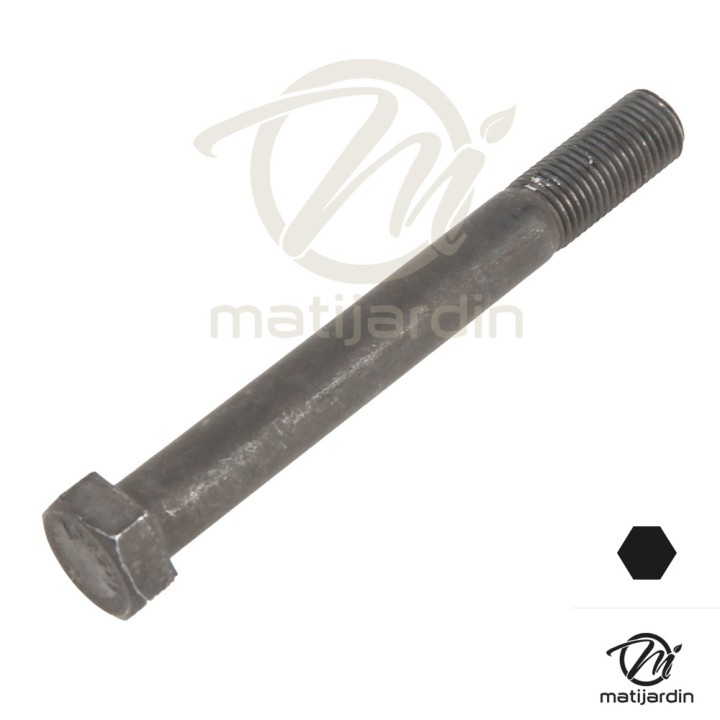 Vis de lame pour Castelgarden N° 12736825/0. Pas à droite.