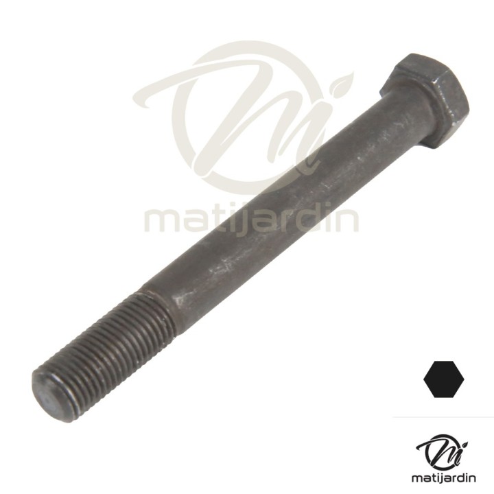 Vis de lame pour Castelgarden N° 12736825/0. Pas à droite.