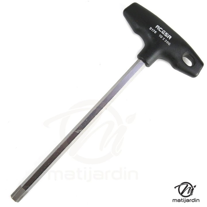 Tournevis Acesa 6 pan. Tête Mâle. 10 x 200 mm